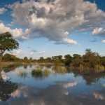 Botswana, Okavango, © David Rogers