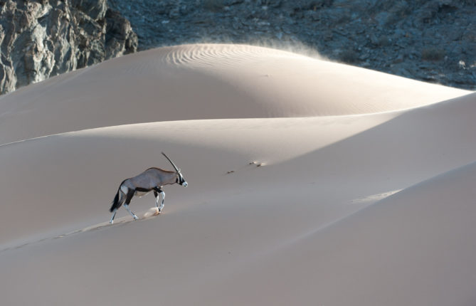 David Rogers Namibia