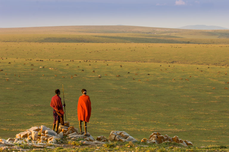 Tanzania, Serengeti, Loliondo region
© David Rogers