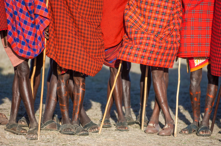 Tanzania, Loliondo Conservation Area bordering Serengeti, Maasai dancers
© David Rogers