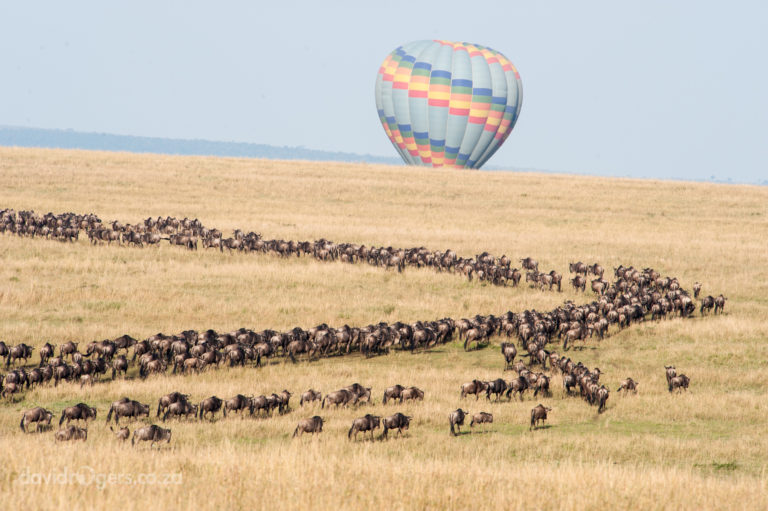 200809_mara_2266