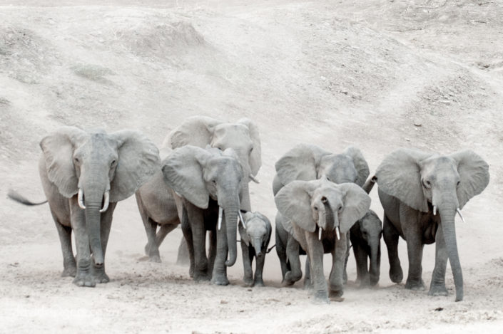 201010_SouthLuangwa_788