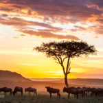 201209_Mara_139