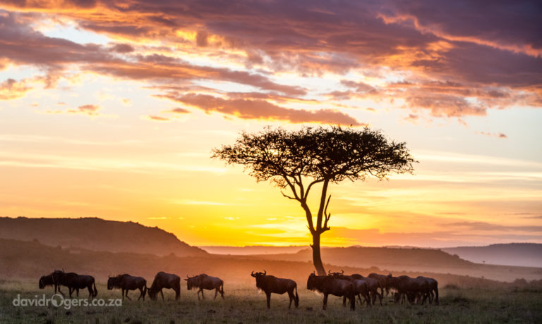 201209_Mara_139