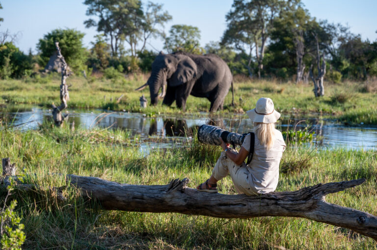Okavango Photo workshop with David Rogers