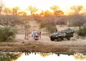 Umlani sundowners by David Rogers