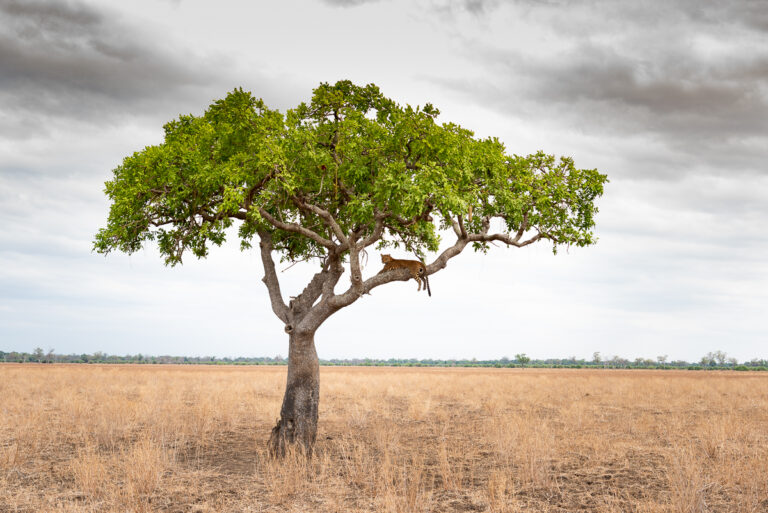201911_Zambia839