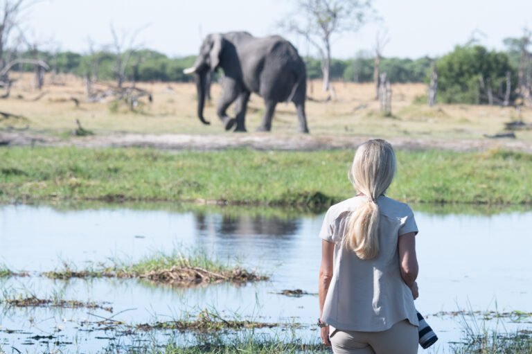 Botswana Okavango Workshops with David Rogers