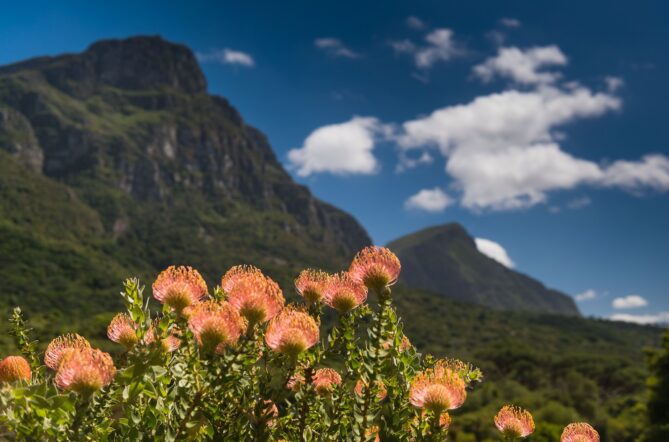 cape-town-photo