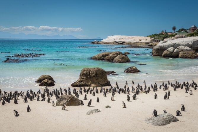 private-tour-cape-town
