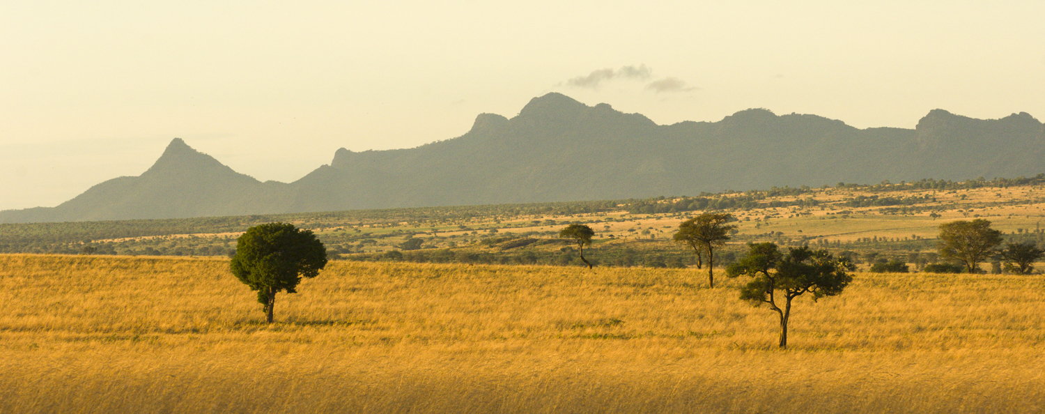 Uganda — Into the wild heart of Africa